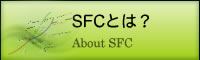 SFCとは？